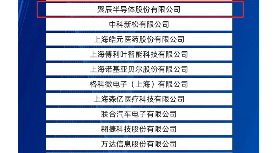 聚辰股份入選2024上海硬核科技企業TOP100榜單